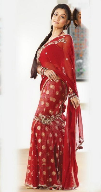 Nayanthara new photos saree-8